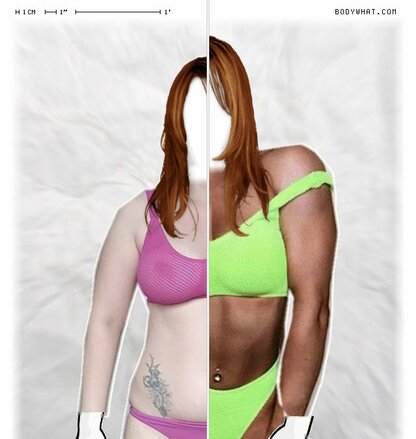 Torso Comparison