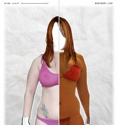 Torso Comparison
