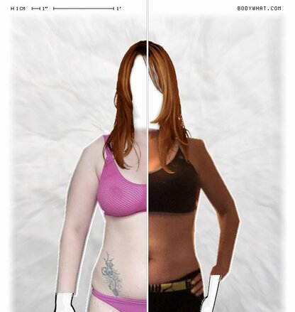 Torso Comparison
