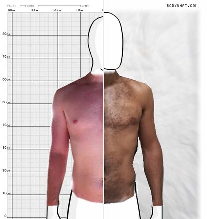 Torso Comparison