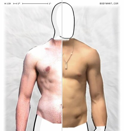 Torso Comparison