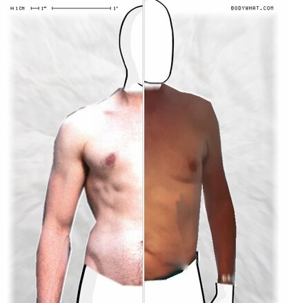 Torso Comparison