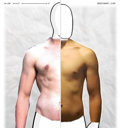 Torso Comparison