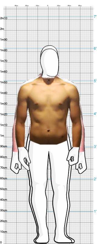 Full Size Comparison