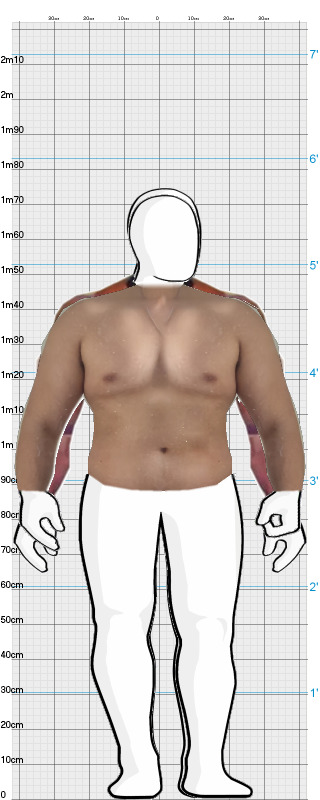 Full Size Comparison