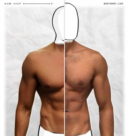 Torso Comparison