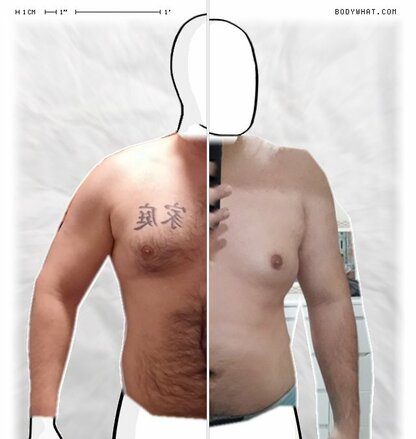 Torso Comparison