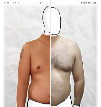 Torso Comparison