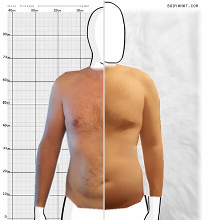 Torso Comparison