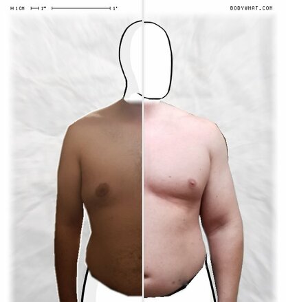 Torso Comparison