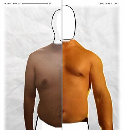 Torso Comparison