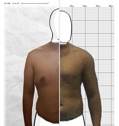 Torso Comparison