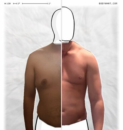 Torso Comparison