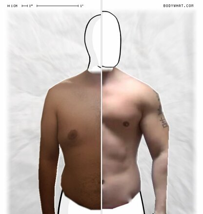 Torso Comparison