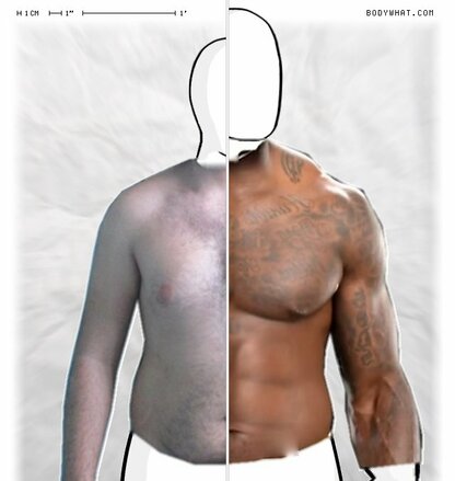 Torso Comparison