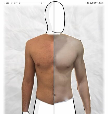 Torso Comparison