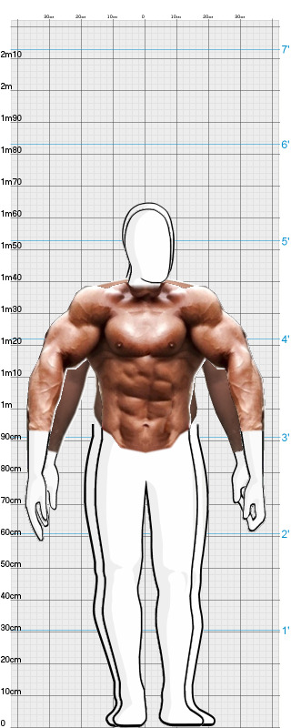Full Size Comparison