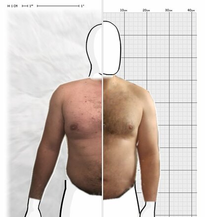 Torso Comparison