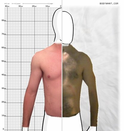 Torso Comparison