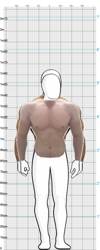 Full Size Comparison