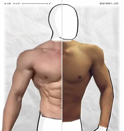 Torso Comparison