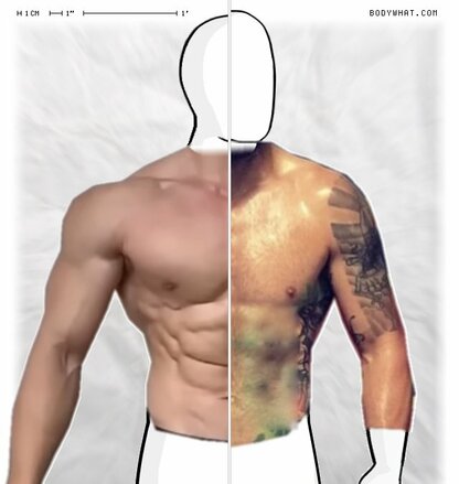 Torso Comparison
