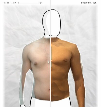 Torso Comparison