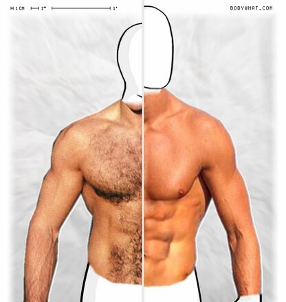 Torso Comparison