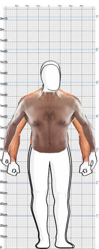 Full Size Comparison