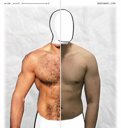 Torso Comparison