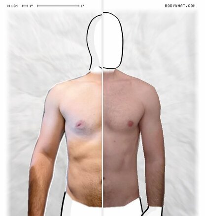 Torso Comparison