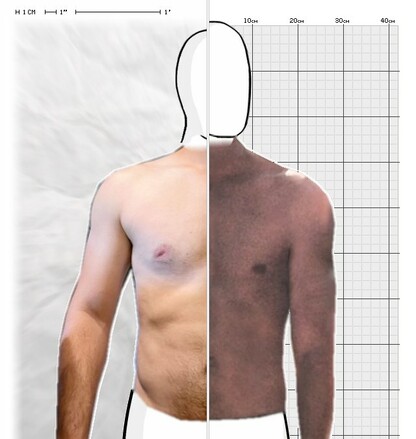 Torso Comparison