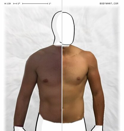 Torso Comparison