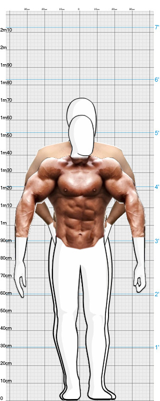 Full Size Comparison