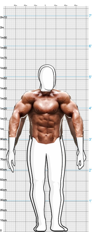 Full Size Comparison