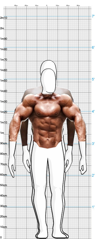 Full Size Comparison