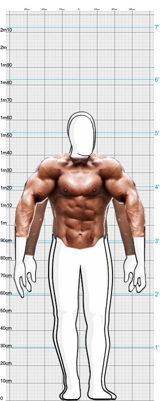 Full Size Comparison