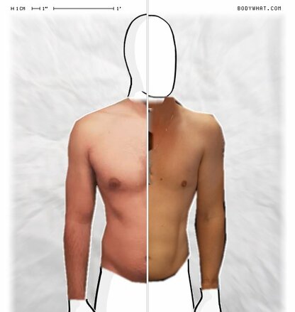 Torso Comparison