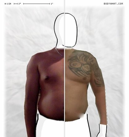 Torso Comparison