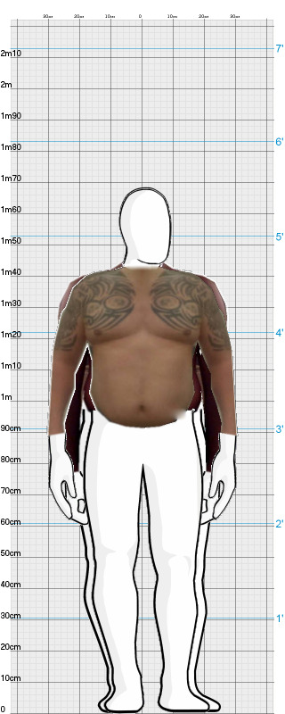 Full Size Comparison