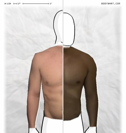 Torso Comparison