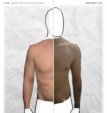 Torso Comparison
