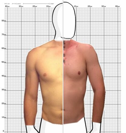 Torso Comparison