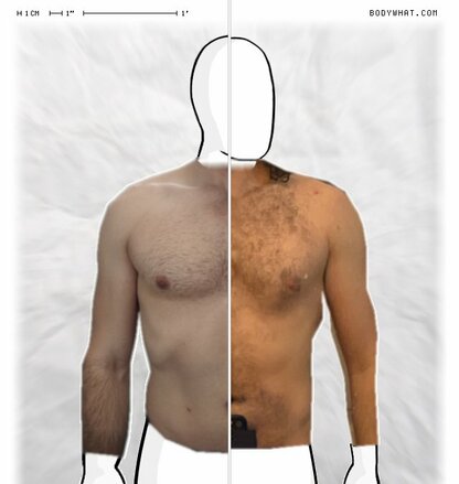 Torso Comparison