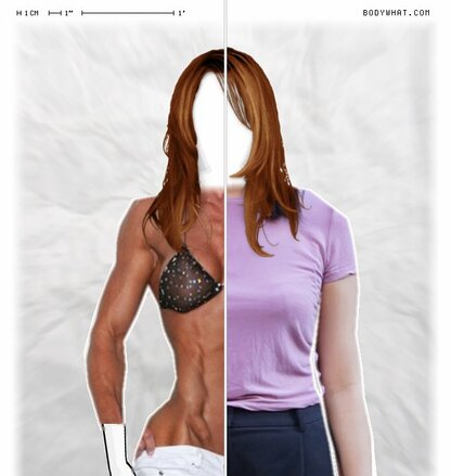 Torso Comparison