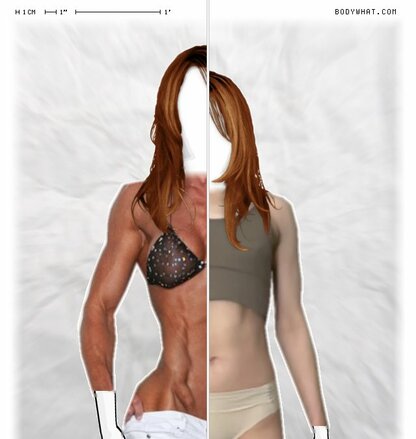 Torso Comparison