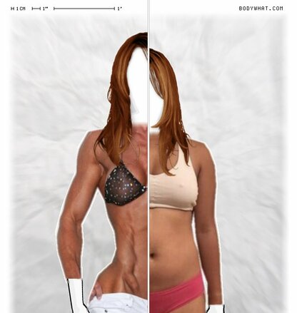 Torso Comparison