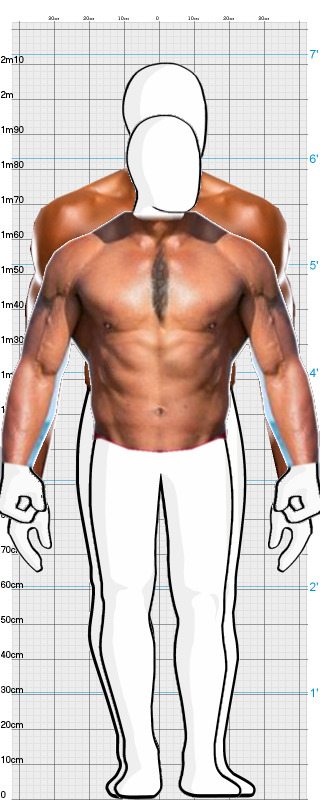 Full Size Comparison