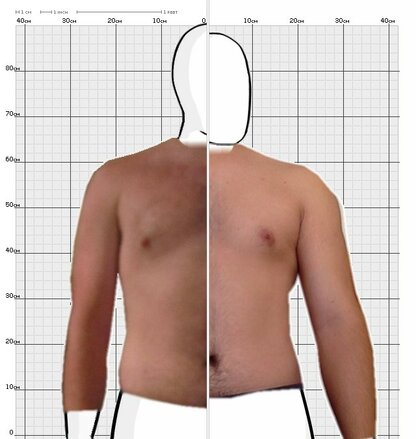 Torso Comparison