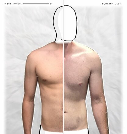 Torso Comparison